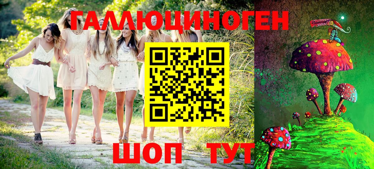 Псилоцибиновые грибы Psilocybine cubensis Качканар