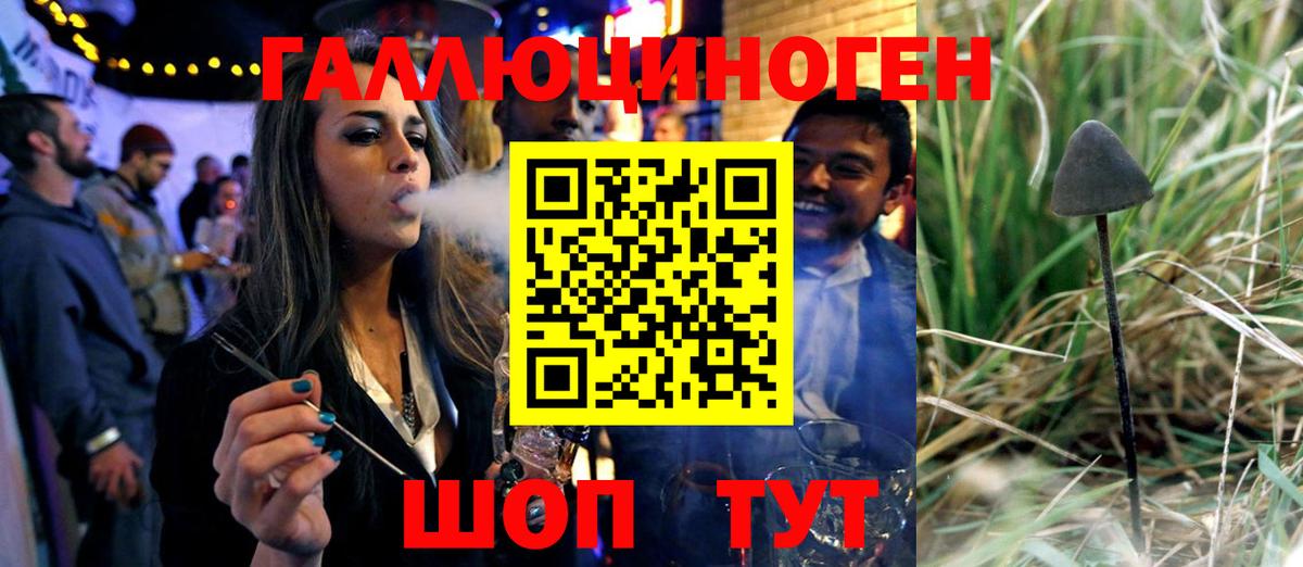 Псилоцибиновые грибы ЛСД  купить закладку  Псилоцибиновые грибы GOLDEN TEACHER  Качканар  Вход с VPN 